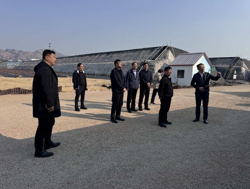 中國鄉(xiāng)村振興發(fā)展中心主任黃承偉一行 調(diào)研健力源青島生態(tài)農(nóng)場和供應(yīng)鏈基地